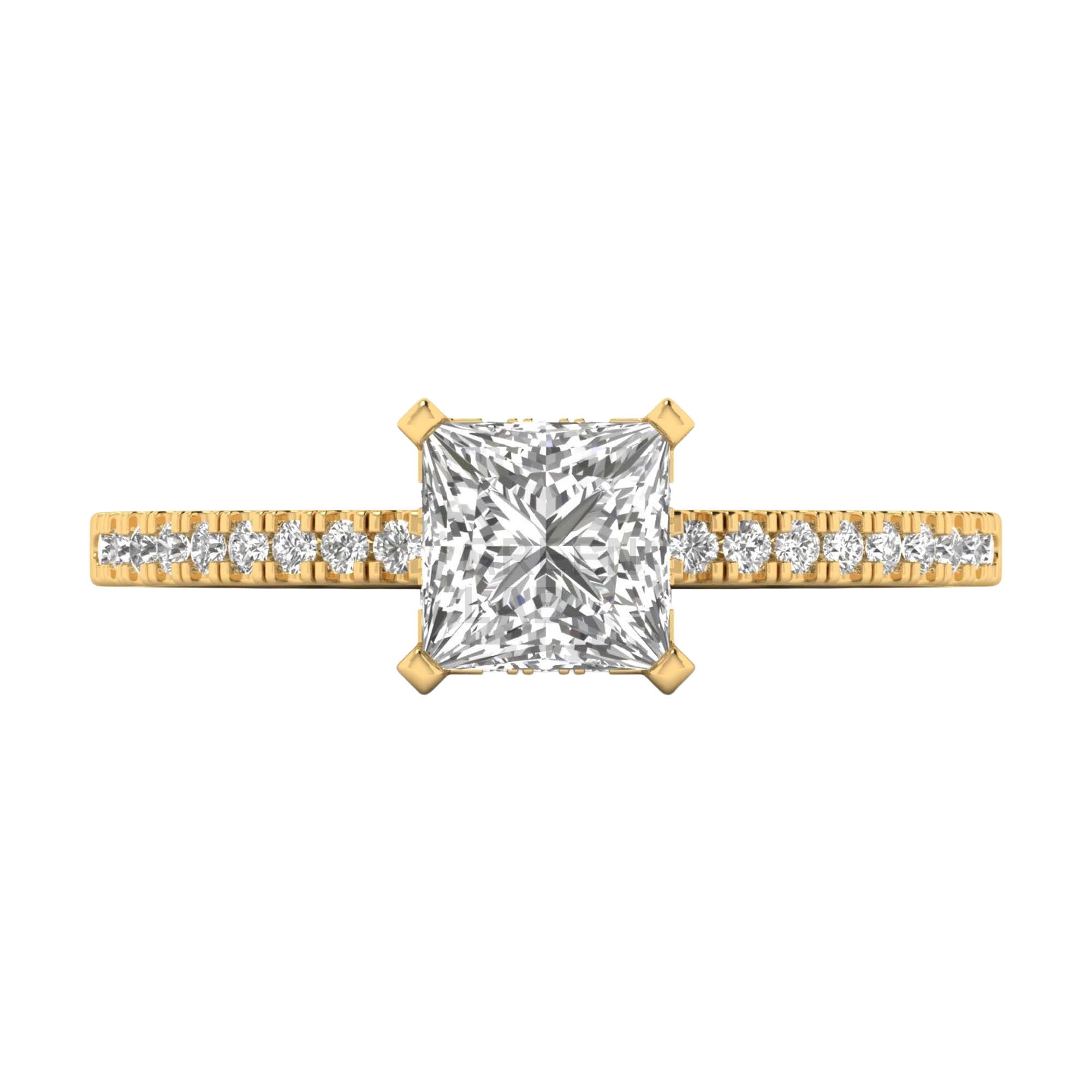 Princess 1.25 karaat solitair met dubbele hidden halo en pavé‑band