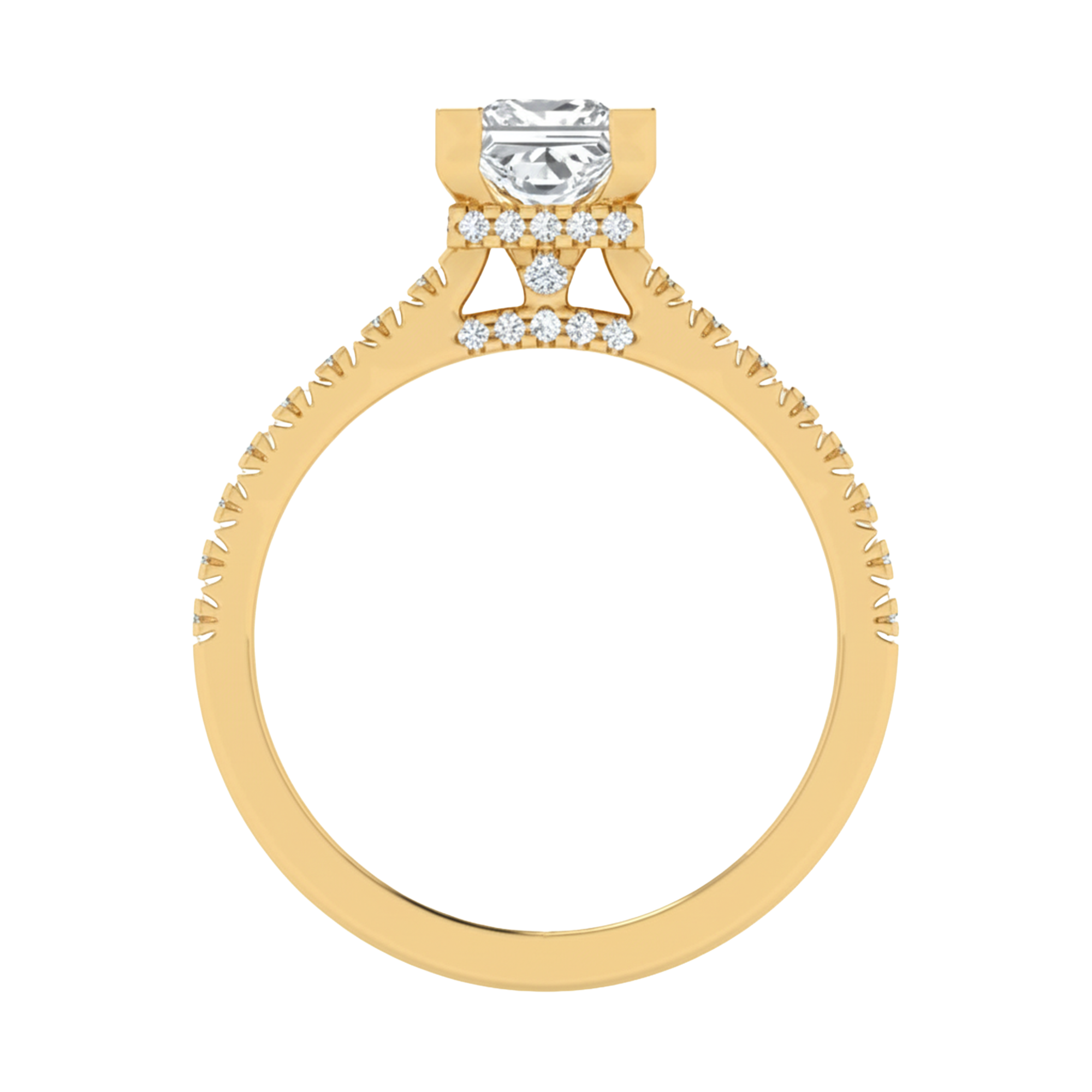 Princess 1.45 karaat solitair met dubbele hidden halo en pavé‑band