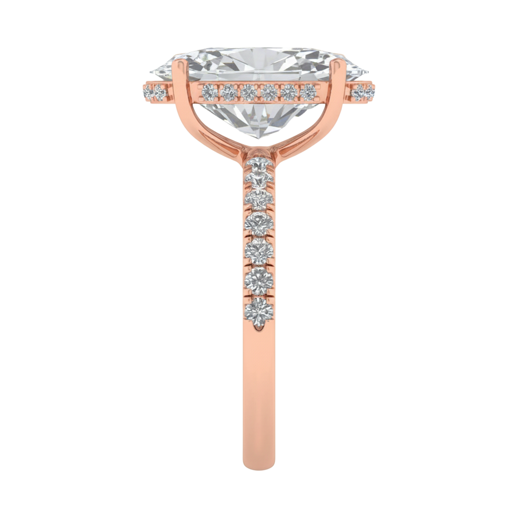 5,5 karaat solitaire pave ring met ovale diamant en pave band en hidden halo