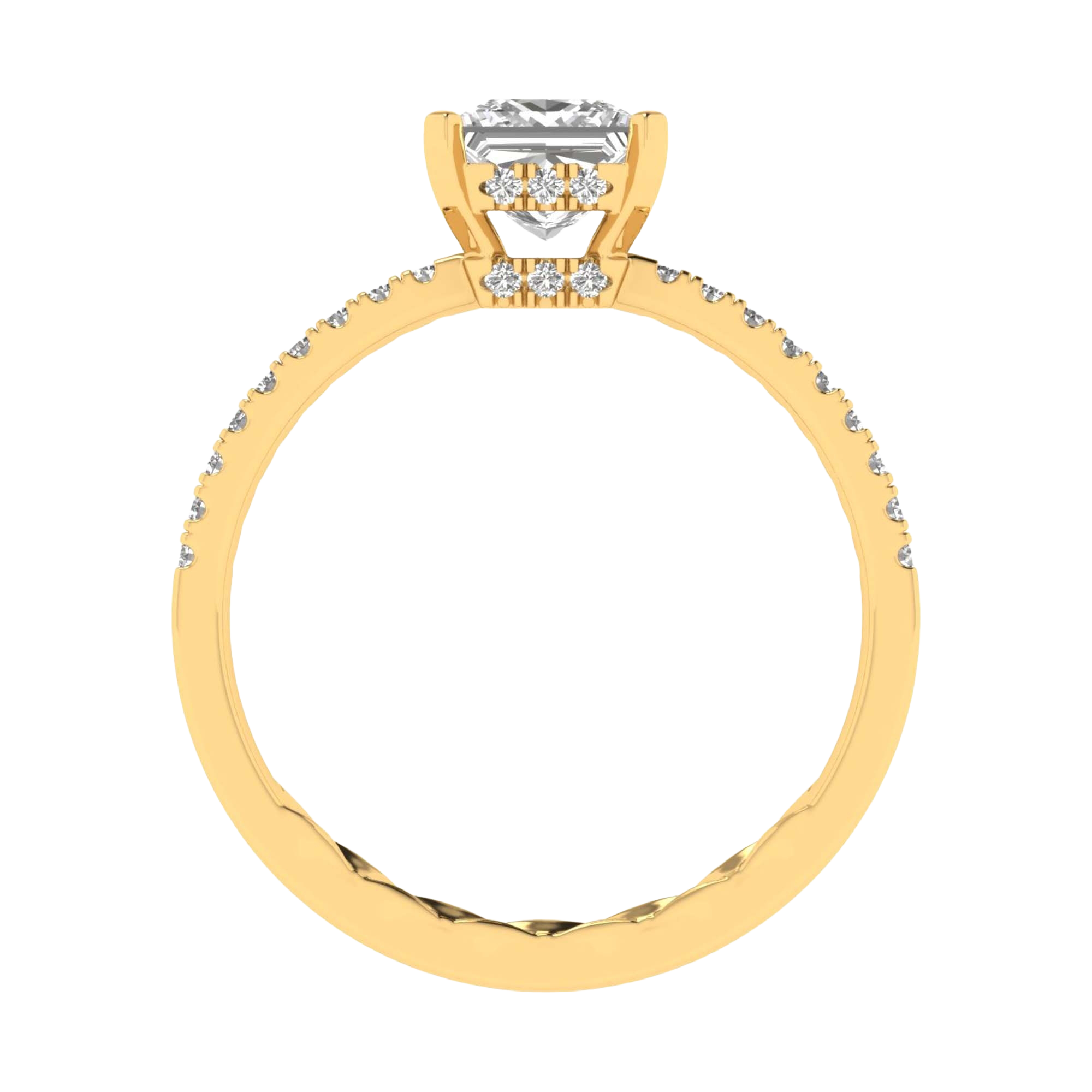 Princess 1.25 karaat solitair met dubbele hidden halo en pavé‑band